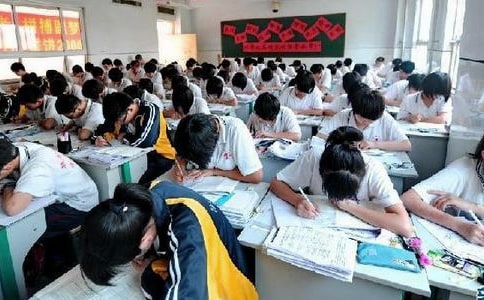 初中学生义工活动心得体会