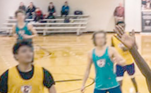 ��ѧ���������Ｏ