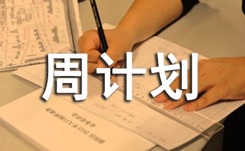 �����ܼƻ����Ļ�����ƪ