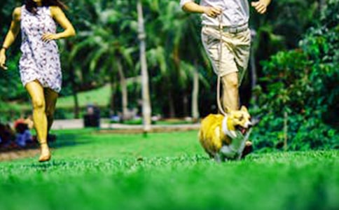 ��ĩ����ֵ������״