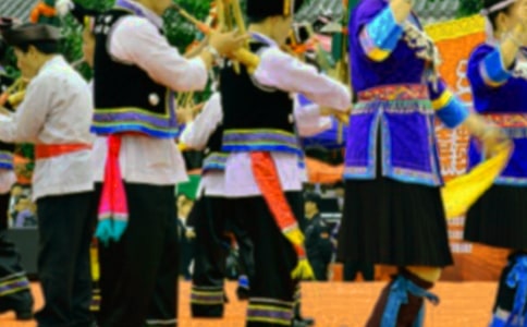 ׳�������������