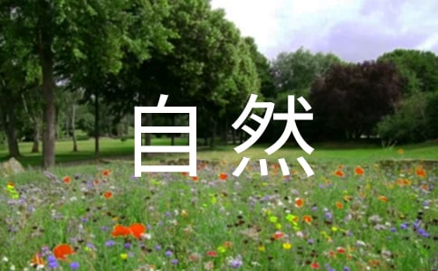 �йر�������Ȼ������300��