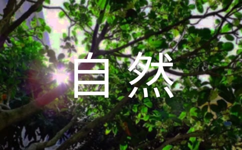 ��ϧ��Ȼ��Դ�Ľ�����