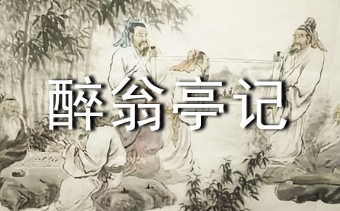 ����ͤ������