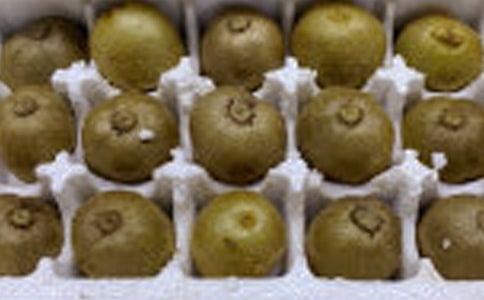 猕猴桃的功效和禁忌