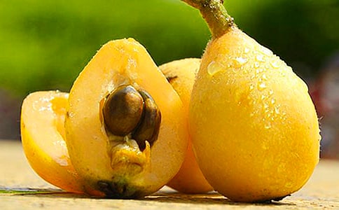 ������ֲ����