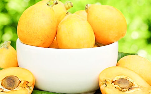 枇杷主要病虫害的发生及综合防控技术