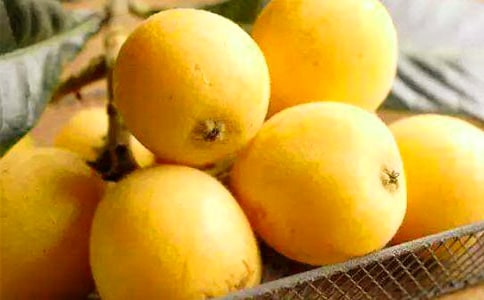 ���˵ļ������ر���