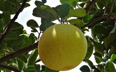 С�ཡ�������ӽ̰�14ƪ