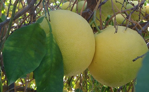 ��ࡶ���ӡ��̰�