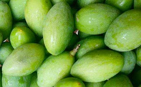 ����͵�Ӫ����ֵ������