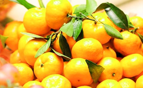 �а����Խ̰���������