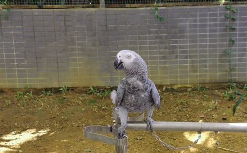 ������������֮����ԭ�ġ�����ע�ͼ�����