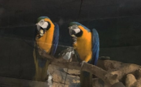 ������ԭ�ļ�����