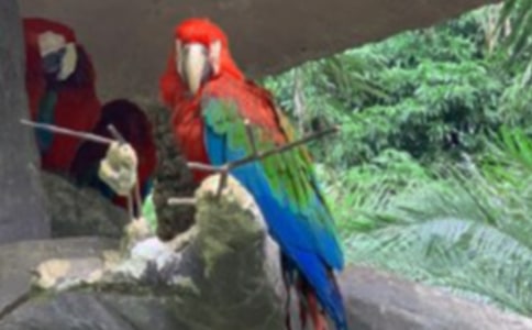 ӽ����ԭ�ļ�����