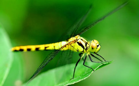 �а����ѻ��˼