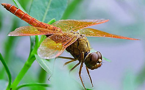 С���ѻ��˼