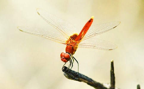 �滭���ѻ��˼