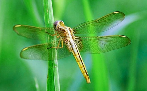 С�����ԡ�׽���ѡ��̰�