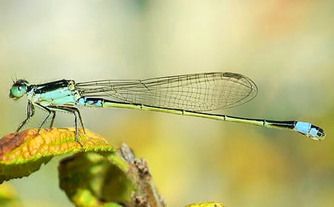 �а໭���ѻ��˼