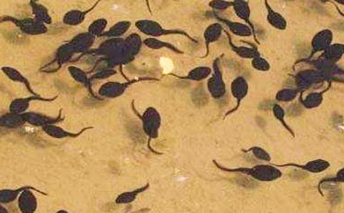 С�����������˼3ƪ