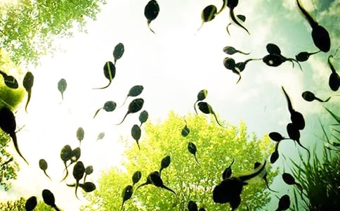 ʵ�õ�С���������̰����10ƪ