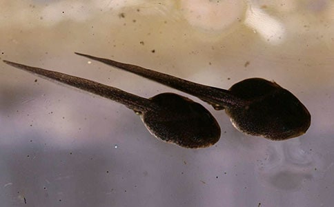 С�����������˼(3ƪ)