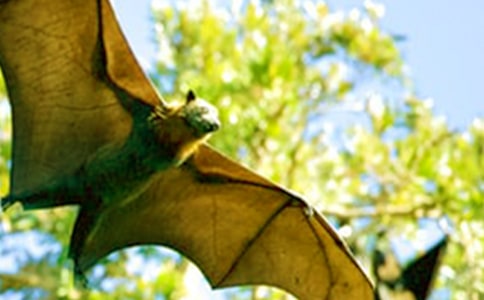 ����������״�̰�����10ƪ