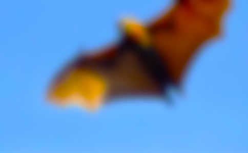 ������״�̰����Ļ��9ƪ