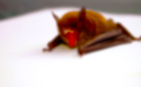 ������״�̰�15ƪ