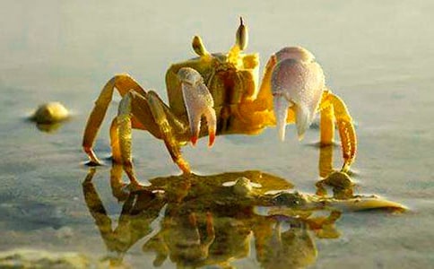 ���С�з�ҹ������Խ̰�