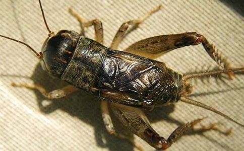 ���סլ����̰�7ƪ