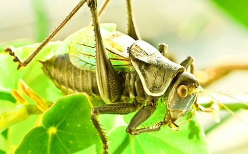 ���סլ�Ľ̰�