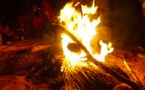 ���������߻��������15ƪ