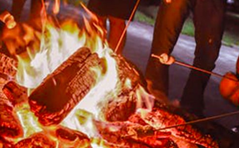 ���������߻�����(����15ƪ)