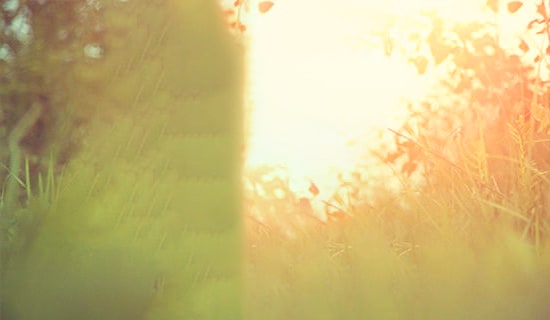 �����ټ����������Ψ����¼˵˵60��