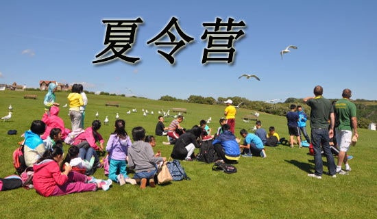 ����Ӫ��Ӫǰ������