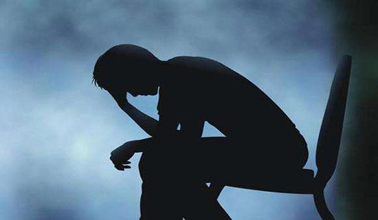 ��������2024�걯�˵���¼����66��