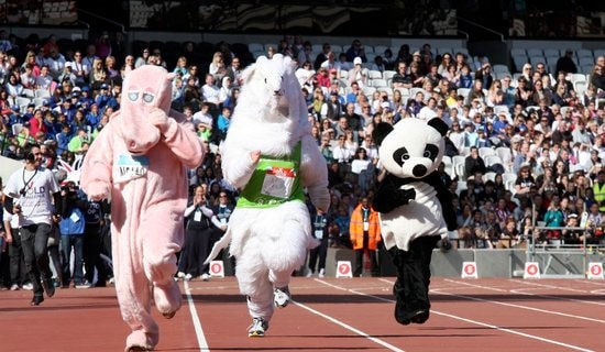 �＾�׶�԰�����˶�����������8ƪ