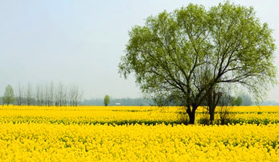 С��ȥ���λ��˼