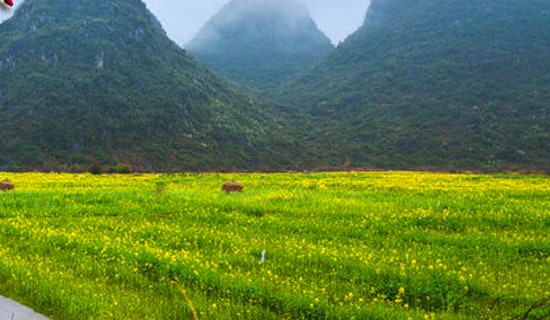 ��ഺ�λ��˼